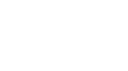 Vision
